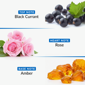 Odour Control Bar